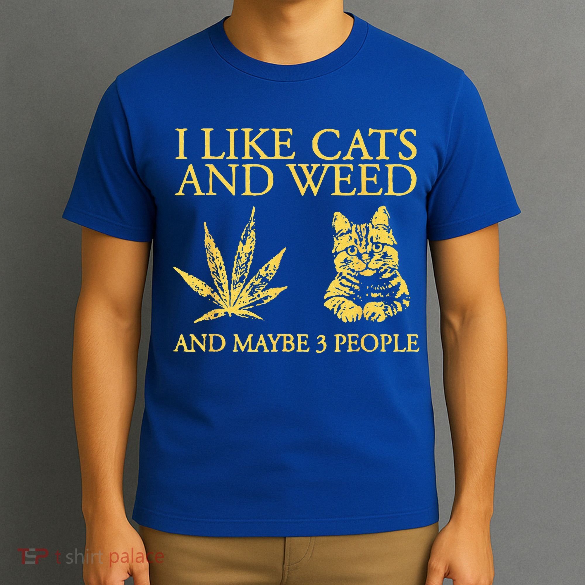 I Like Cats And Weed And Maybe 3 People T-Shirt