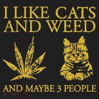 I Like Cats And Weed And Maybe 3 People Tumbler thumb 3