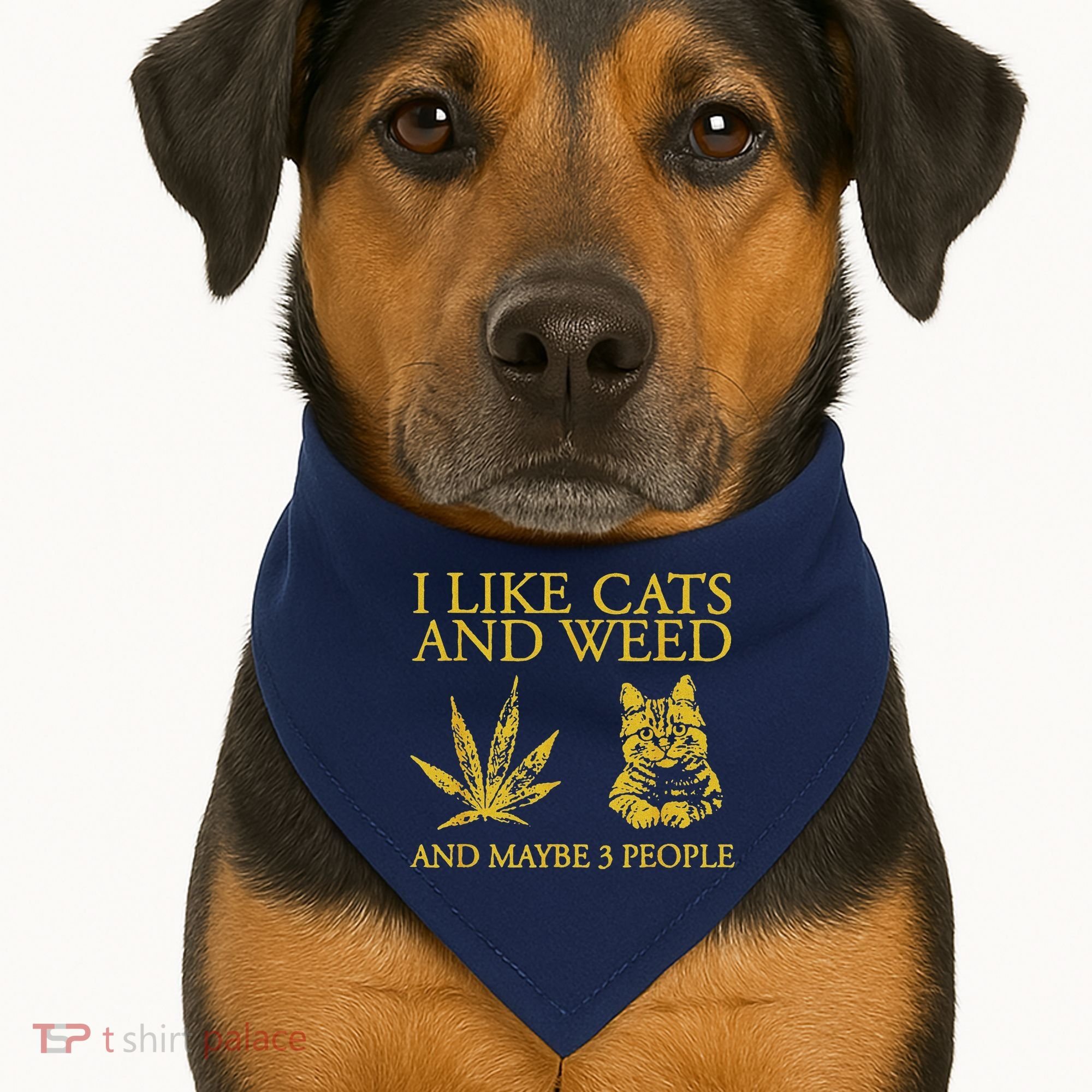 I Like Cats And Weed And Maybe 3 People USA-Made Doggie Bandana