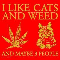 I Like Cats And Weed And Maybe 3 People Santa Hat thumb 1