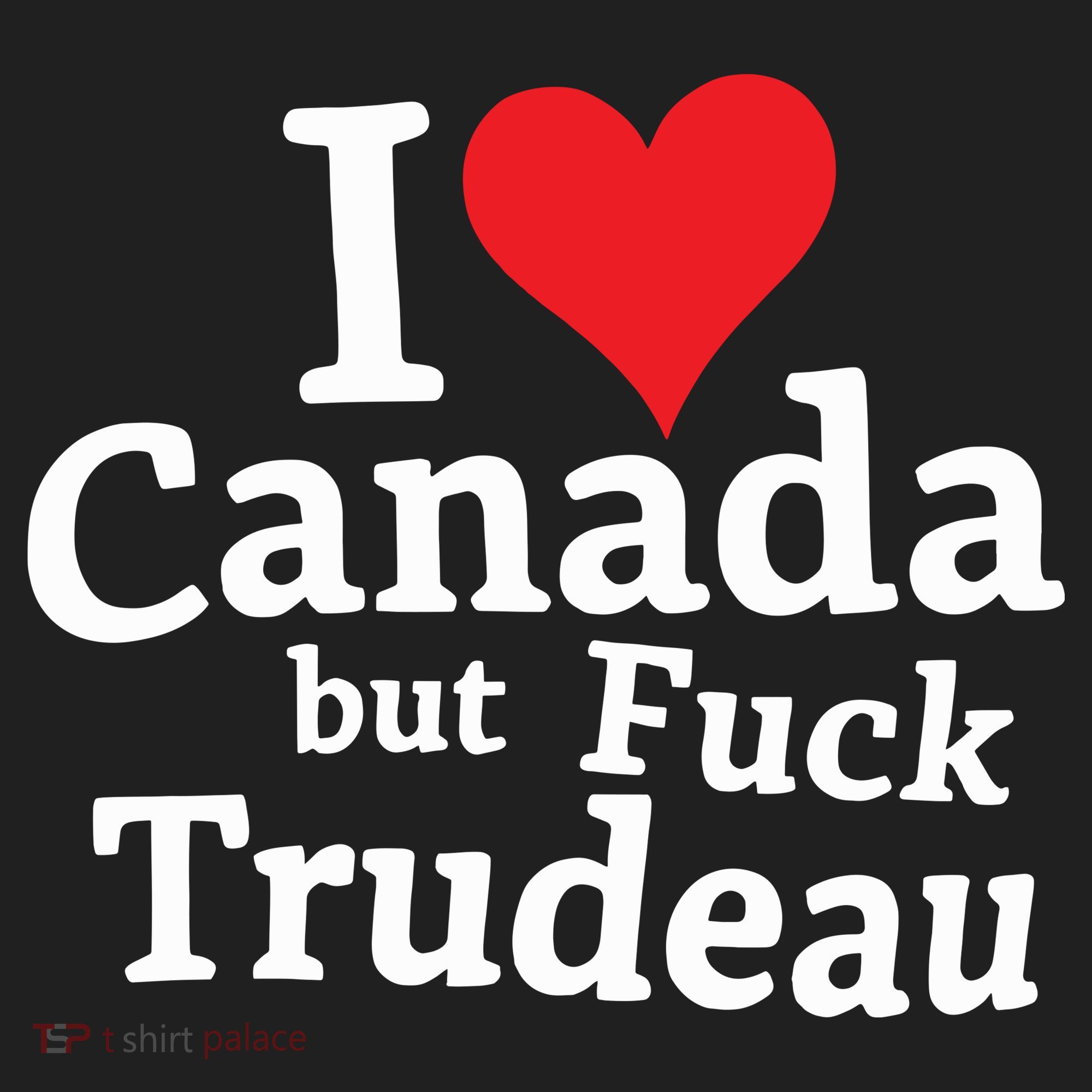 I Love Canada But Fuck Trudeau Beanie