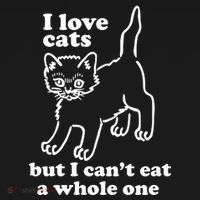 I Love Cats But I CanT Eat A Whole One Coaster thumb 2