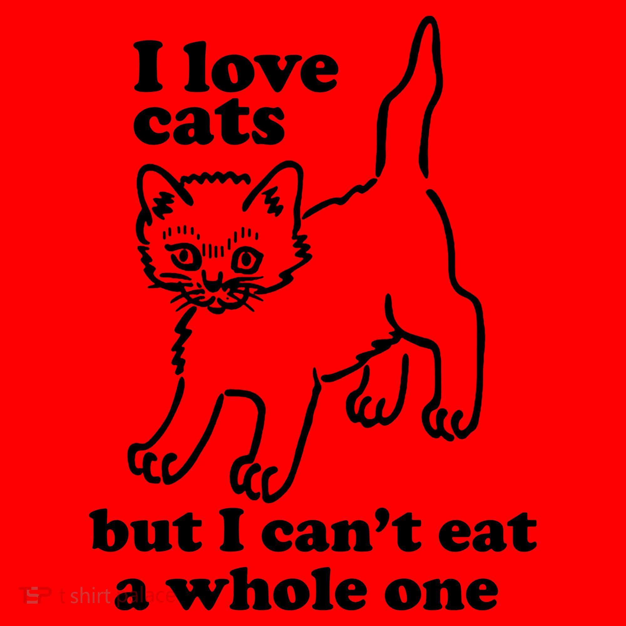 I Love Cats But I CanT Eat A Whole One Santa Hat