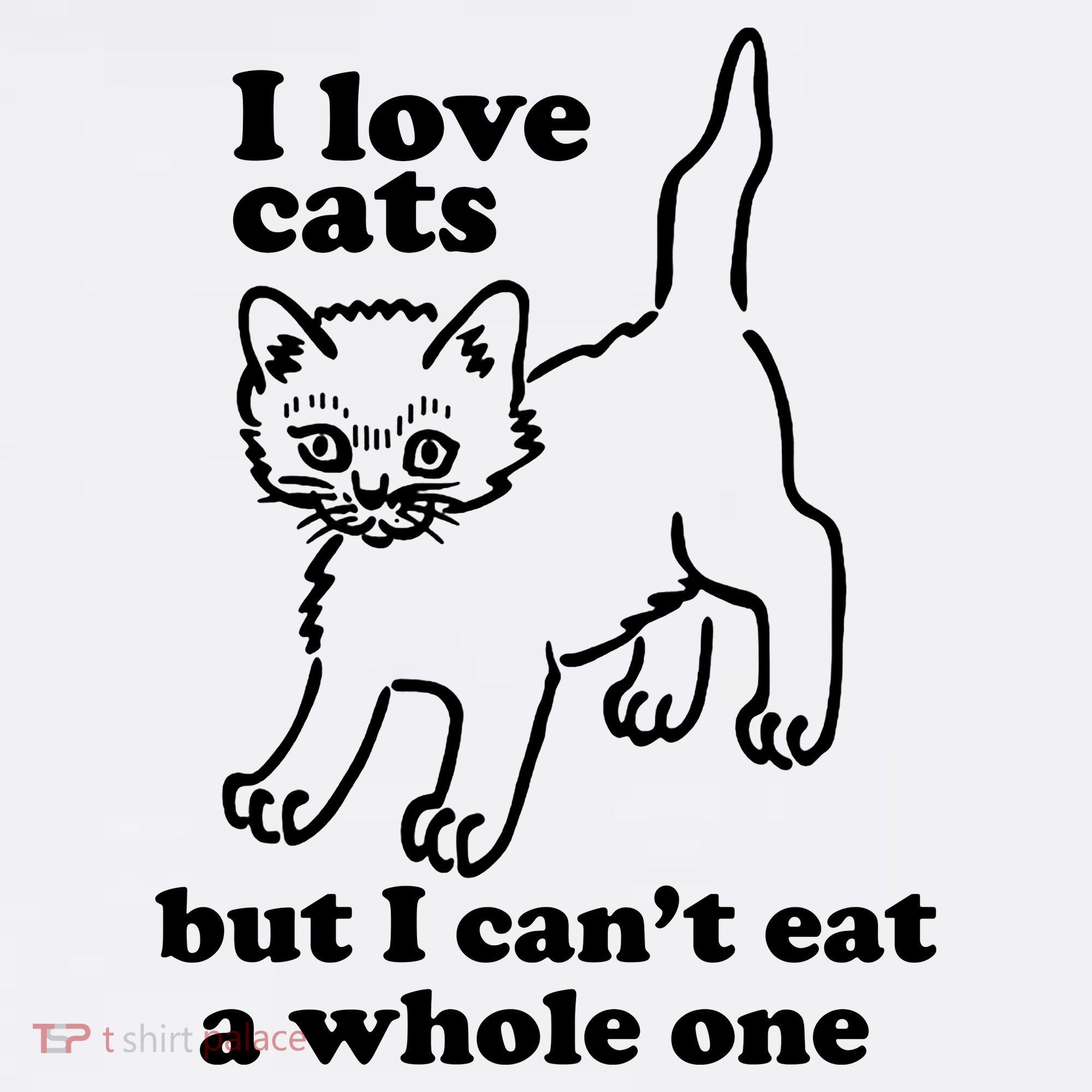 I Love Cats But I CanT Eat A Whole One Women's Hoodie