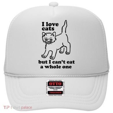 I Love Cats But I CanT Eat A Whole One Hat
