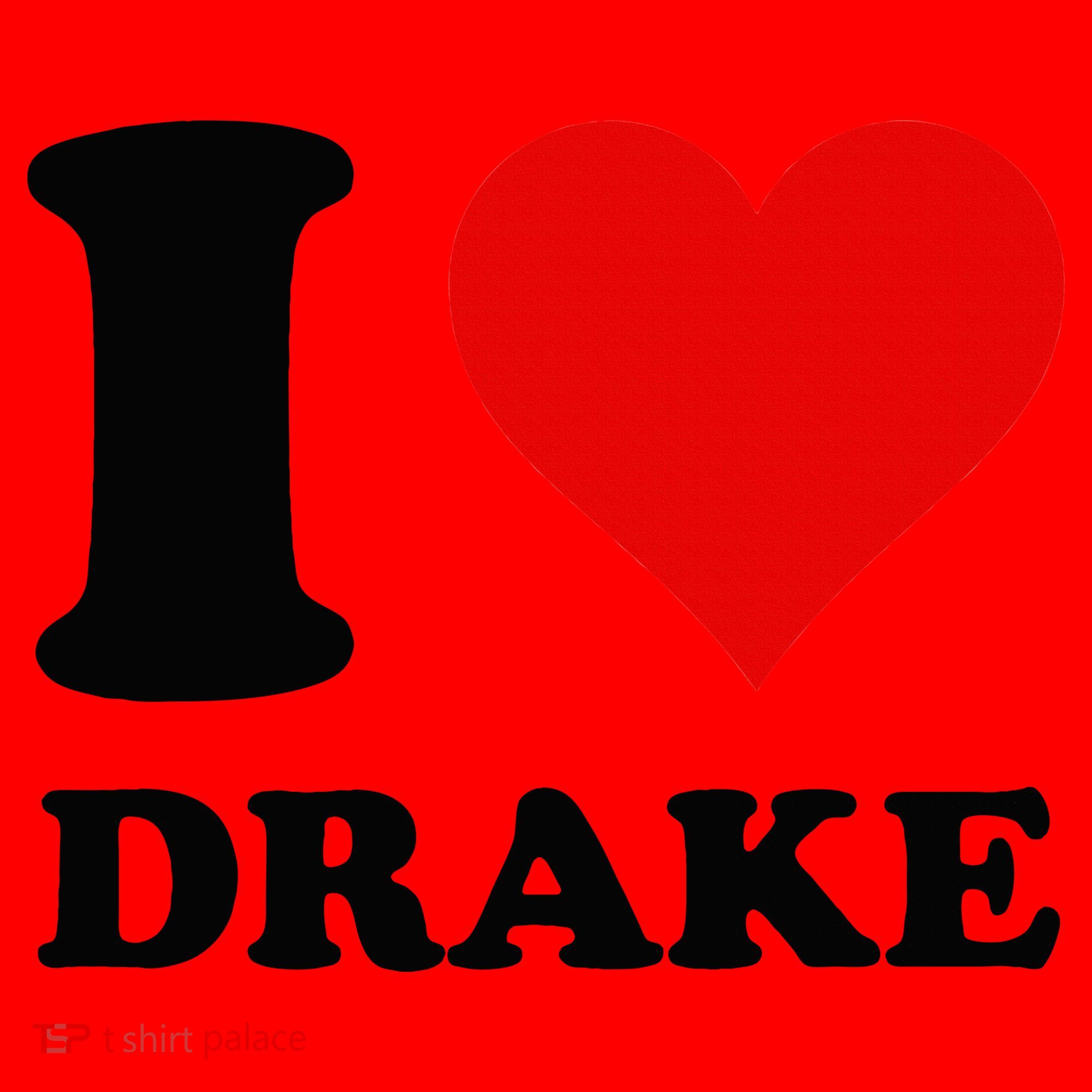 I Love Drake Santa Hat