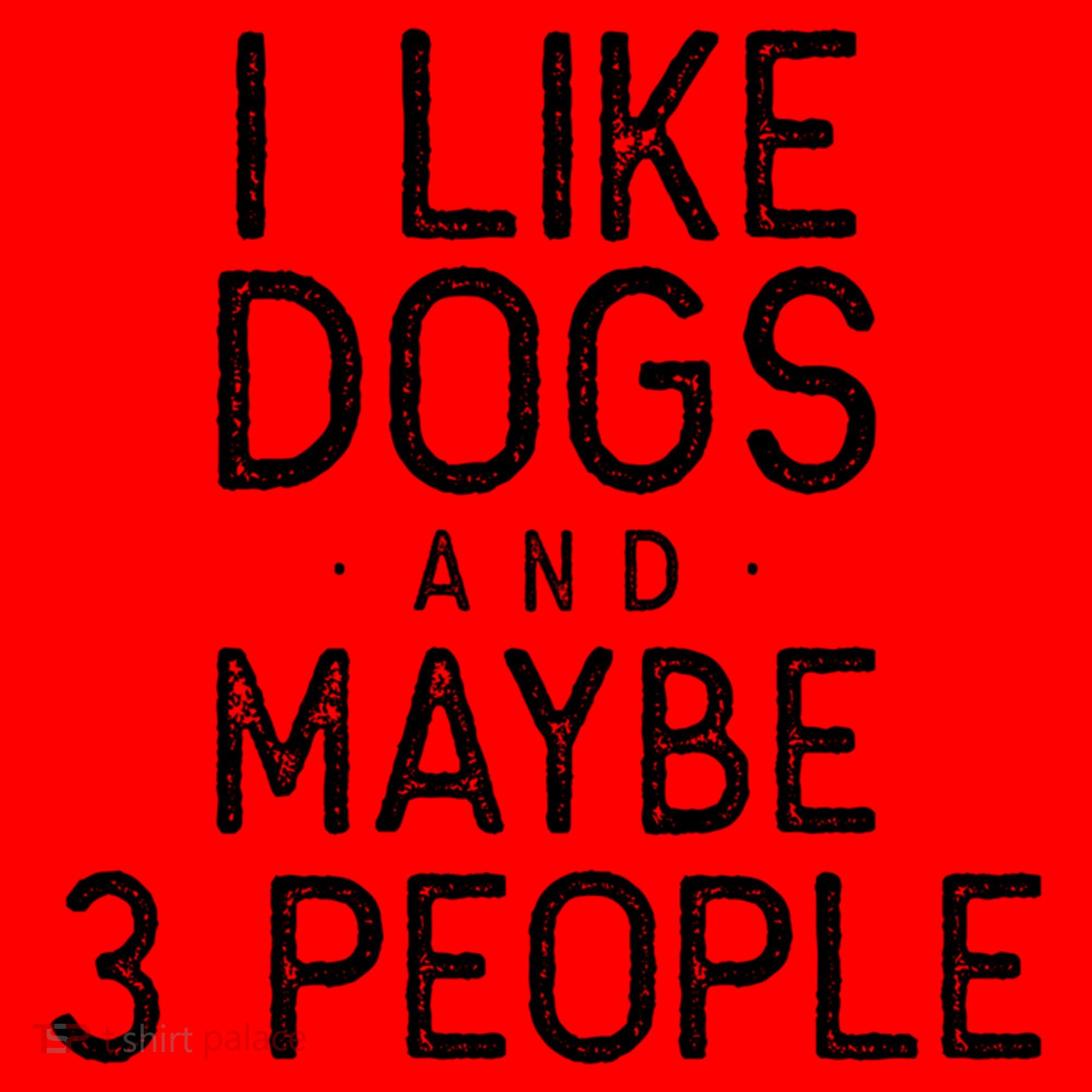 I Like Dogs And Maybe 3 People Funny Dog Gift Santa Hat