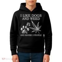 I Like Dogs And Weed And Maybe 3 People Great Gift Kids Hoodie thumb 4