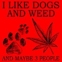 I Like Dogs And Weed And Maybe 3 People Great Gift Santa Hat thumb 1
