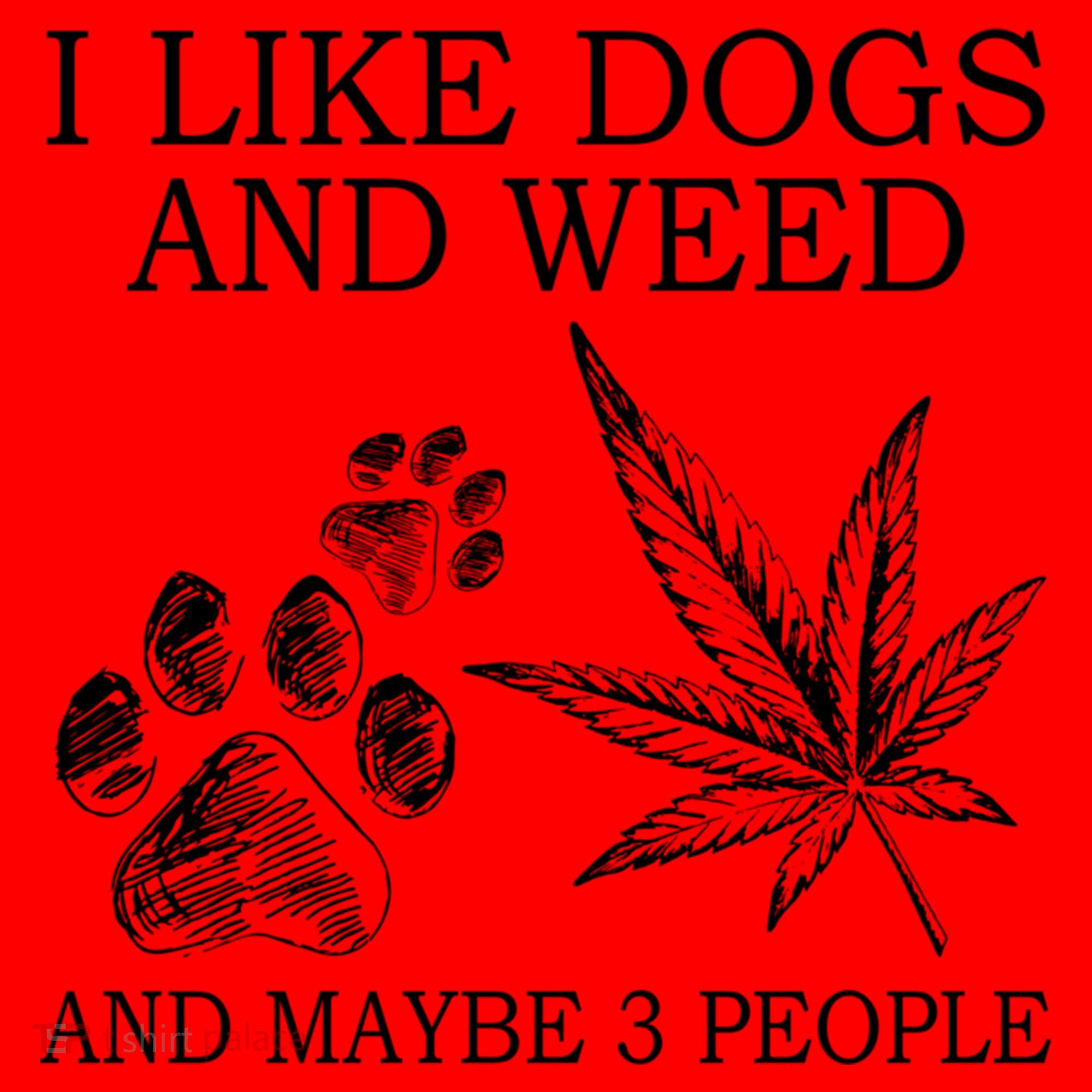 I Like Dogs And Weed And Maybe 3 People Great Gift Santa Hat