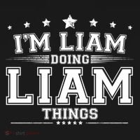 Im Liam Doing Liam Things Hoodie thumb 2
