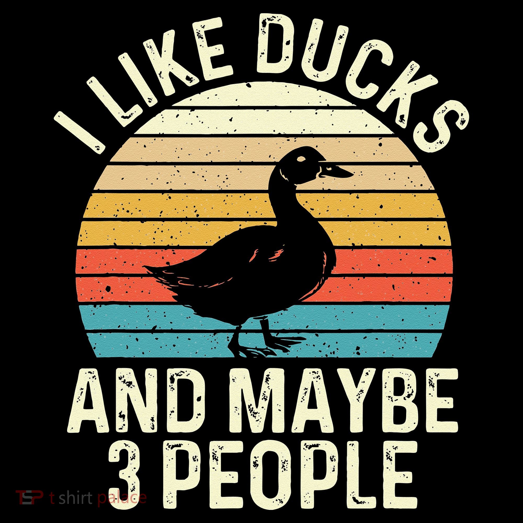 I Like Ducks And Maybe 3 People Duck Lover Women's Hoodie
