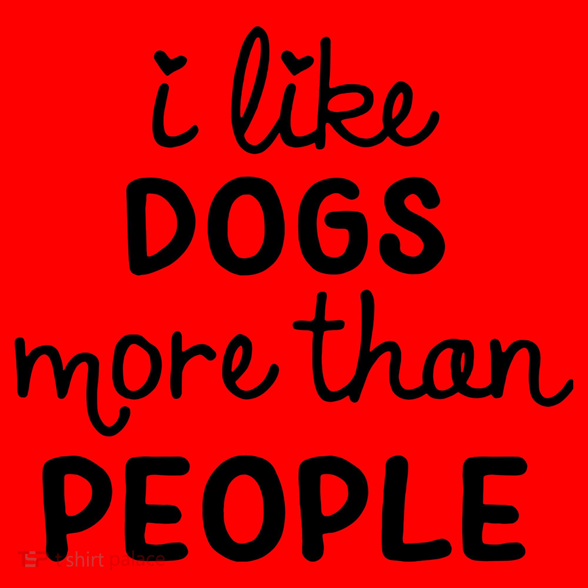 I Like Dogs More Than People Santa Hat