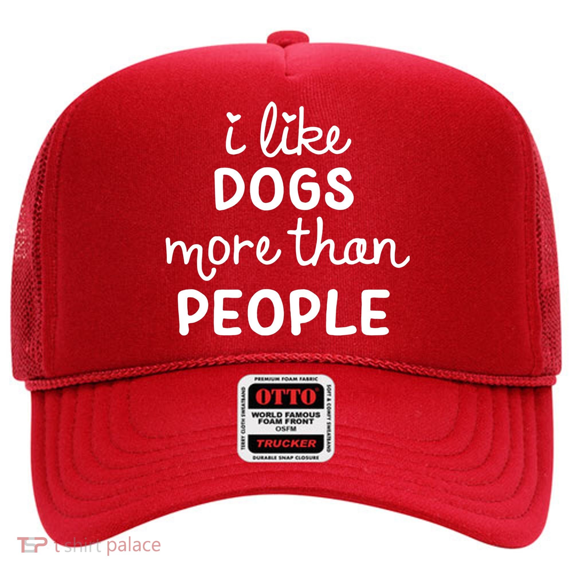 I Like Dogs More Than People Hat