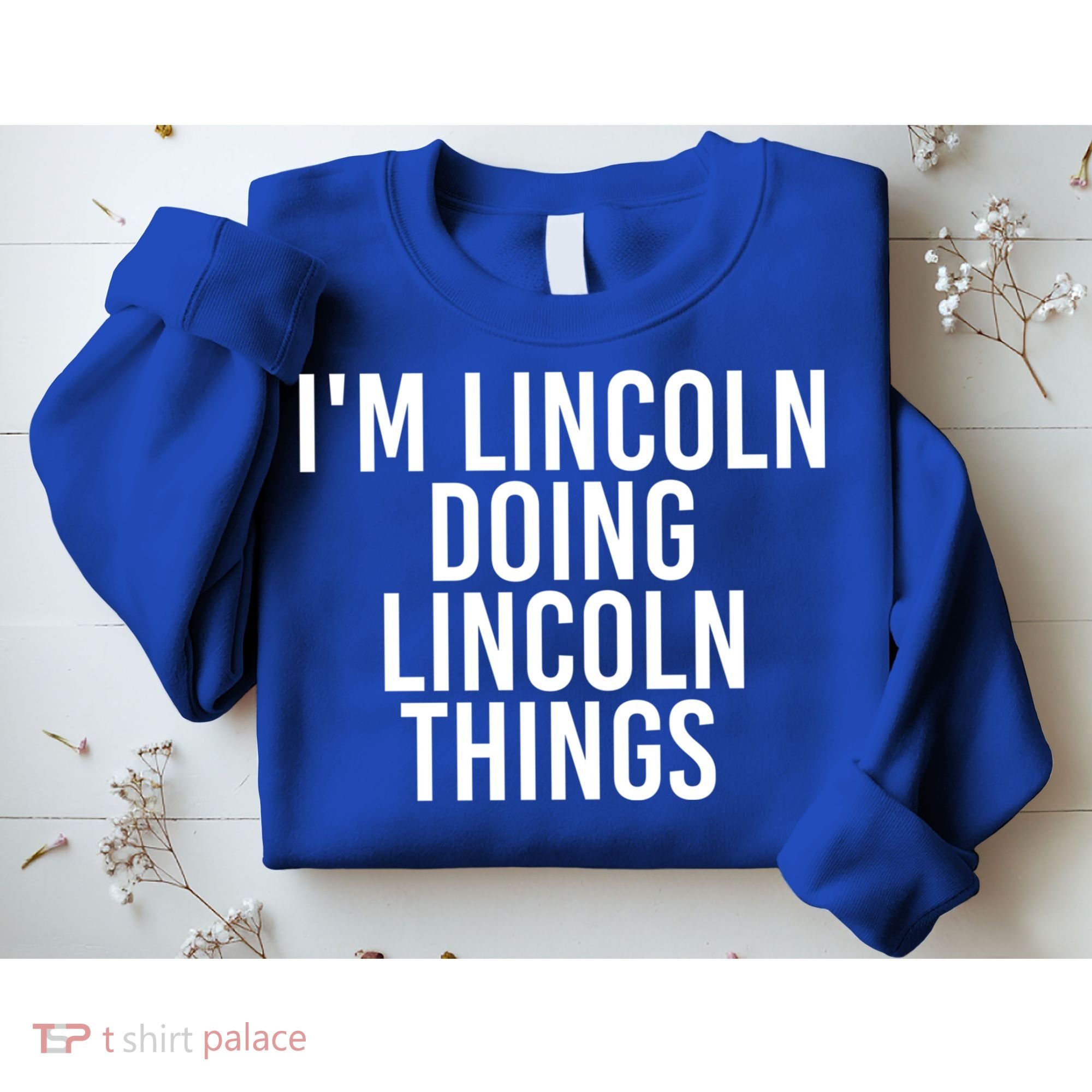 I'm Lincoln Doing Lincoln Things Funny Birthday Gift Idea Gift Sweatshirt