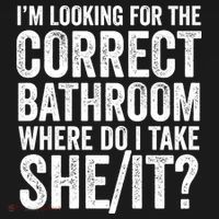 I’M Looking For The Correct Bathroom Where Do I Take A She/It? Funny Sarcastic Ornament thumb 1
