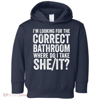 I’M Looking For The Correct Bathroom Where Do I Take A She/It? Funny Sarcastic Toddler Hoodie