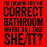 I’M Looking For The Correct Bathroom Where Do I Take A She/It? Funny Sarcastic Santa Hat thumb 1