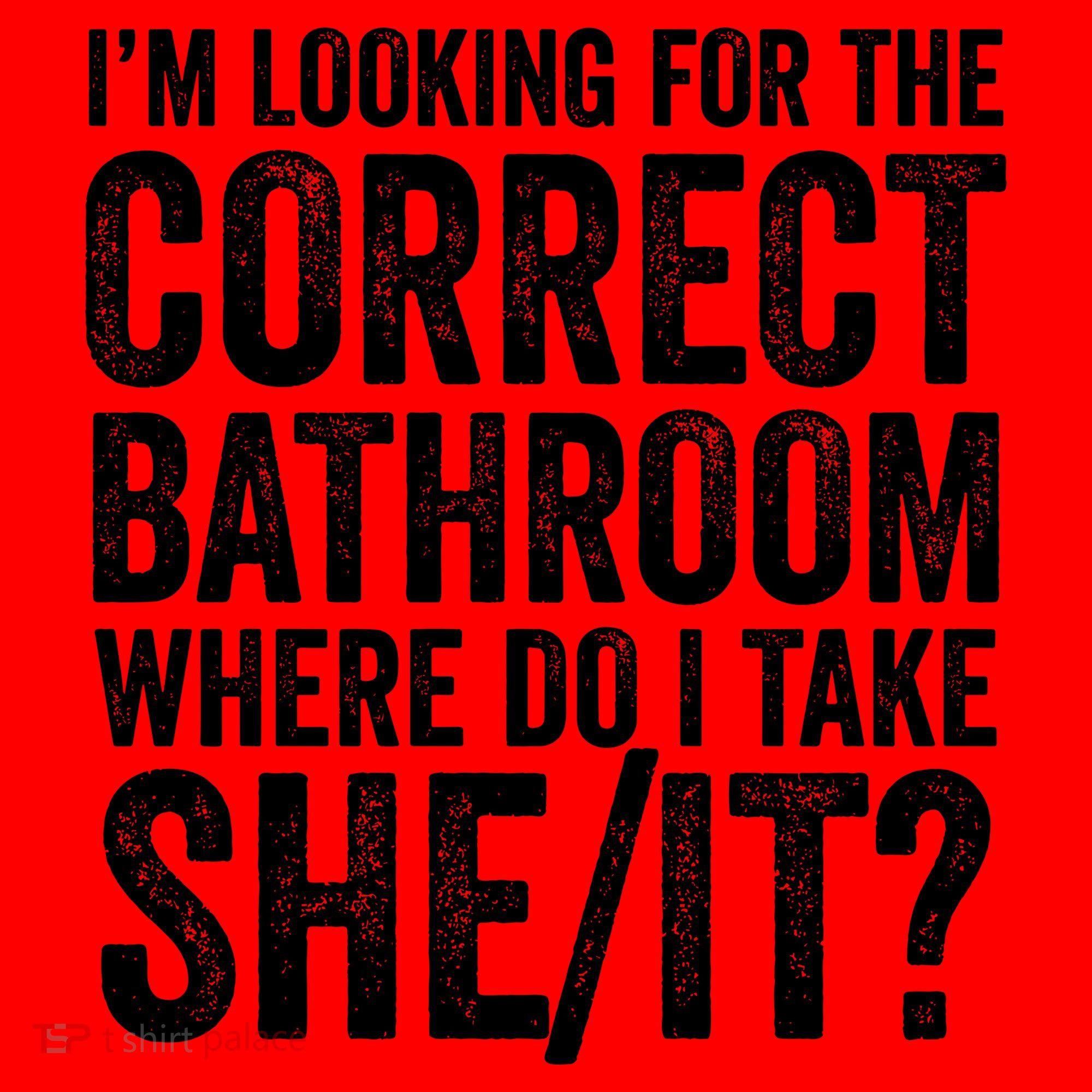I’M Looking For The Correct Bathroom Where Do I Take A She/It? Funny Sarcastic Santa Hat