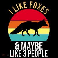 I Like Foxes And Maybe Like 3 People Funny Women's Hoodie thumb 2