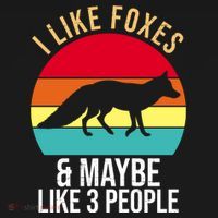 I Like Foxes And Maybe Like 3 People Funny Ornament thumb 1