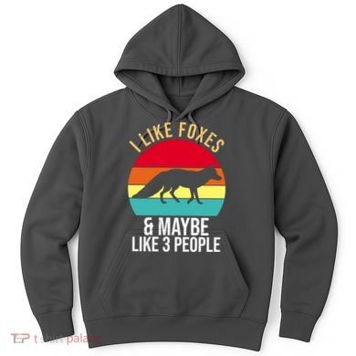I Like Foxes And Maybe Like 3 People Funny Hoodie