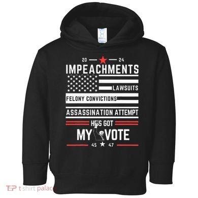 Impeachments Lawsuits Felony Convictions Assassination Toddler Hoodie