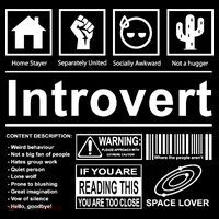 Introvert Label Funny Gift Kids Sweatshirt thumb 2