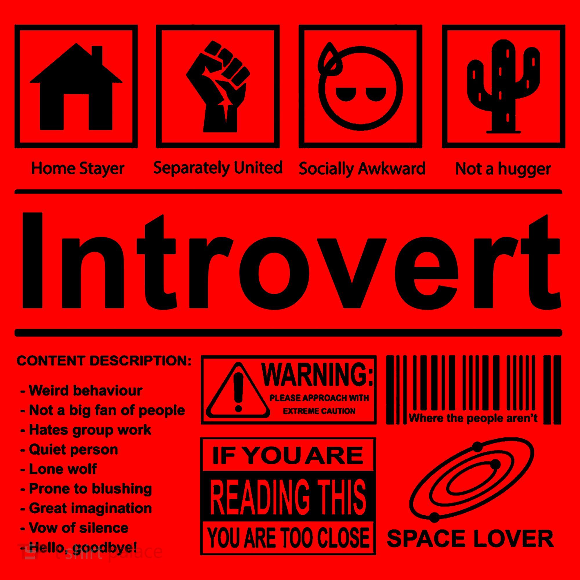 Introvert Label Funny Gift Santa Hat
