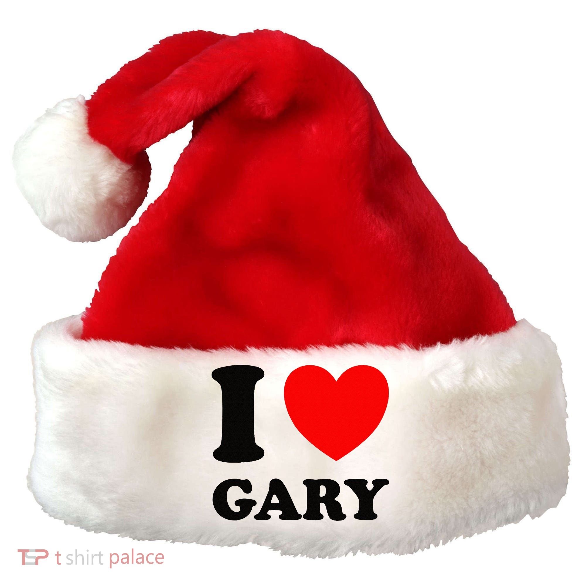 I Love Gary Santa Hat