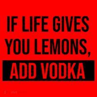 If Life Gives You Lemons Add Vodka Funny Santa Hat thumb 1
