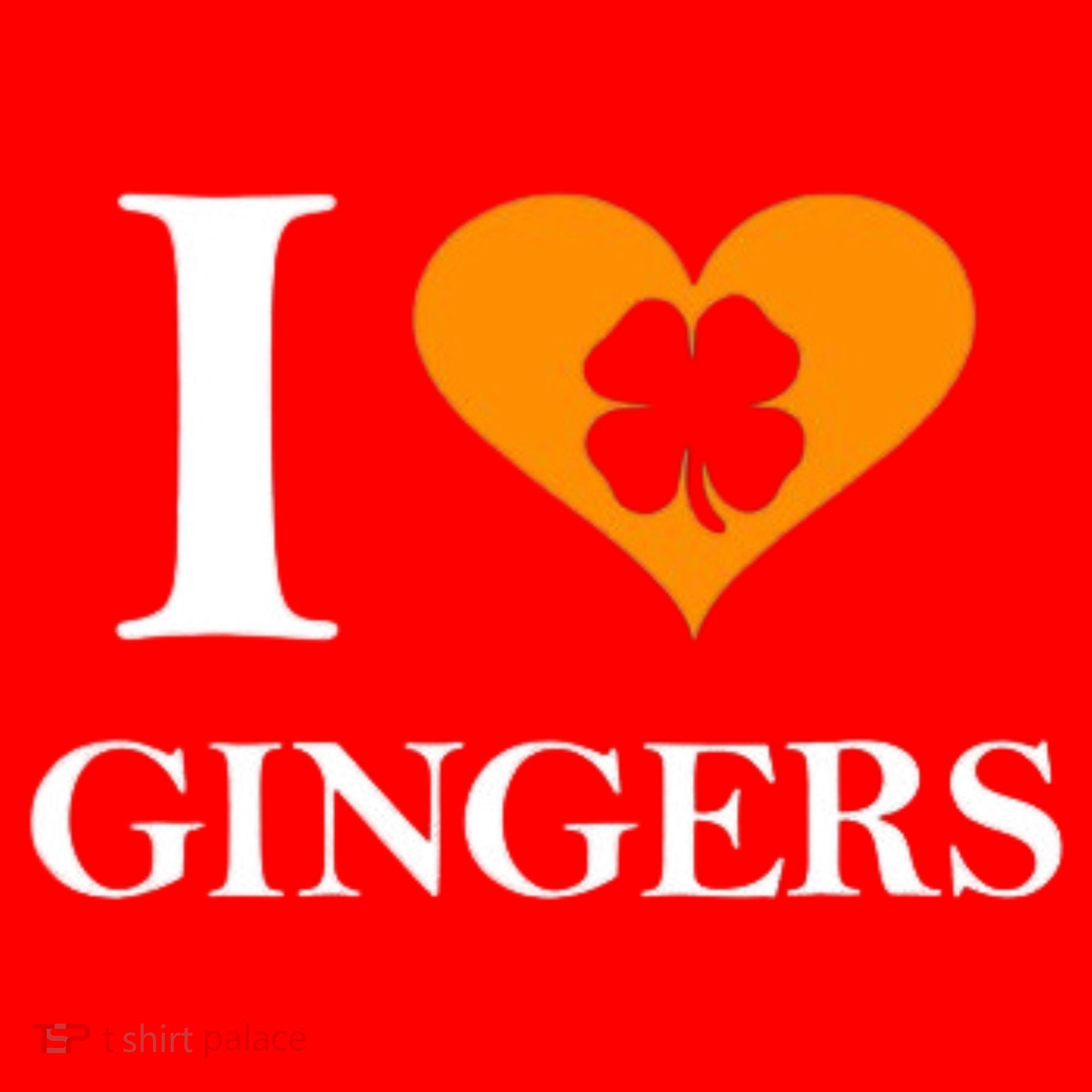I Love Gingers Heart Shamrock Redhead Lover Santa Hat