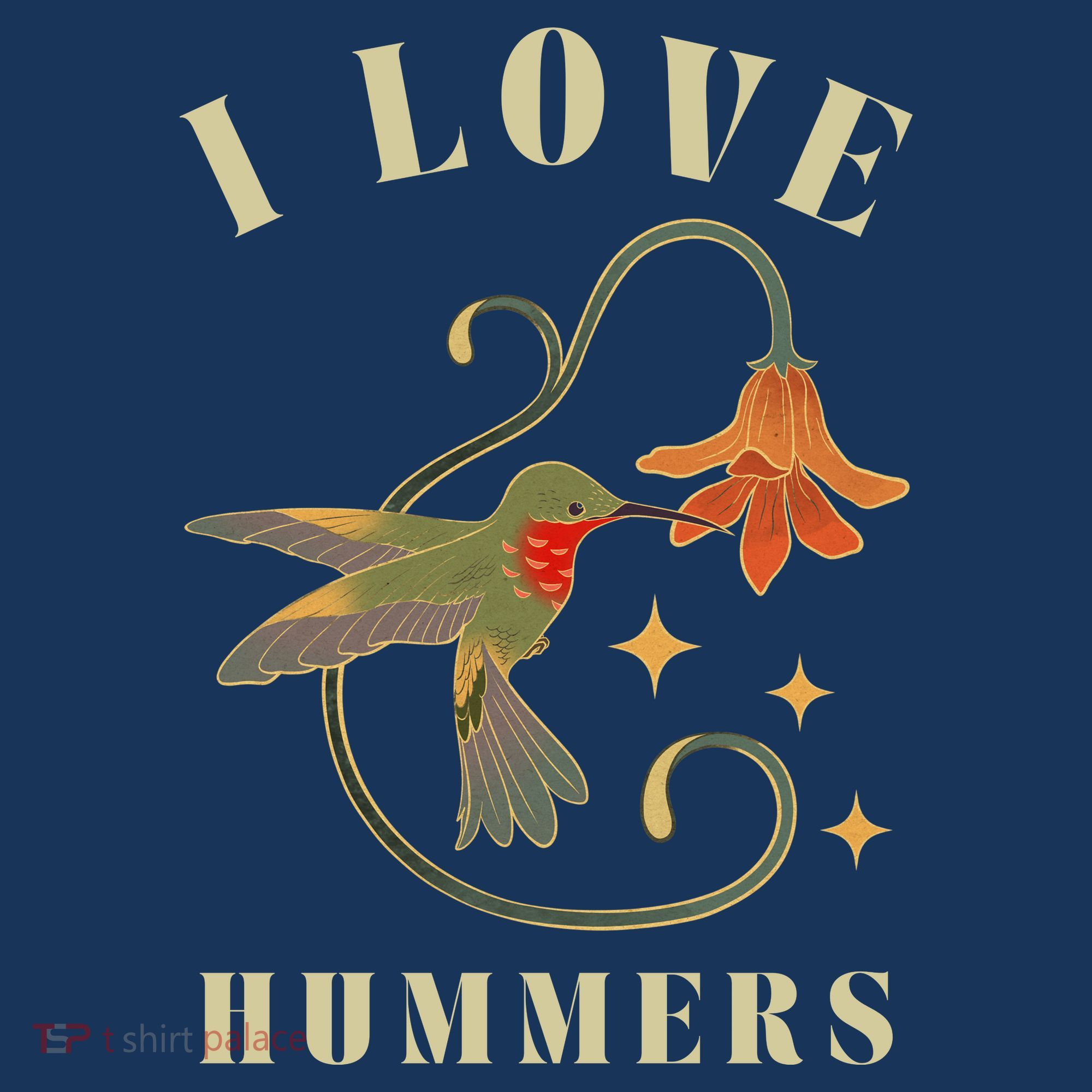 I Love Hummers Awesome Hummingbird Lover Women's Hoodie
