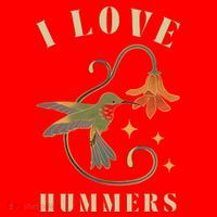 I Love Hummers Awesome Hummingbird Lover Santa Hat thumb 1