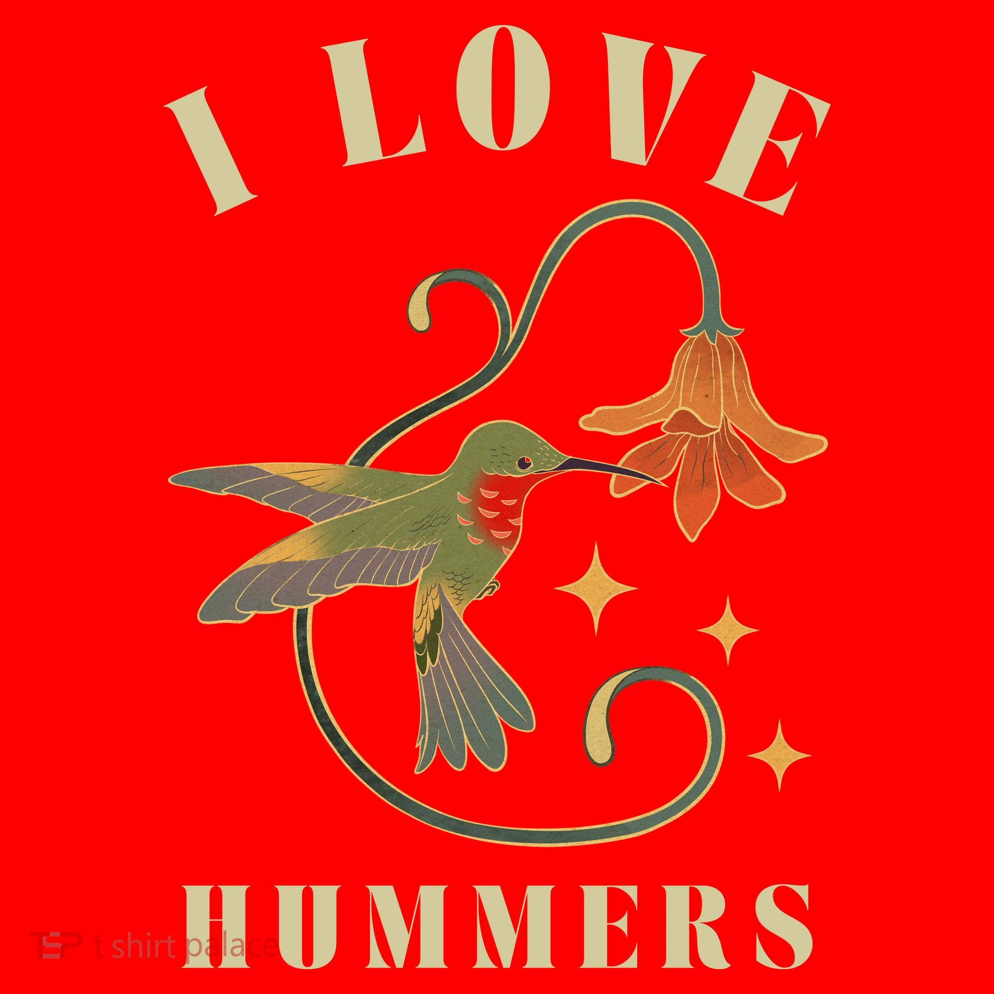 I Love Hummers Awesome Hummingbird Lover Santa Hat