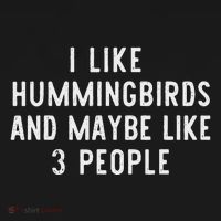 I Like Hummingbirds And Maybe Like 3 People Funny Lover Gift Women's Hoodie thumb 2