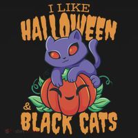 I Like Halloween And Black Cats Women's Hoodie thumb 2
