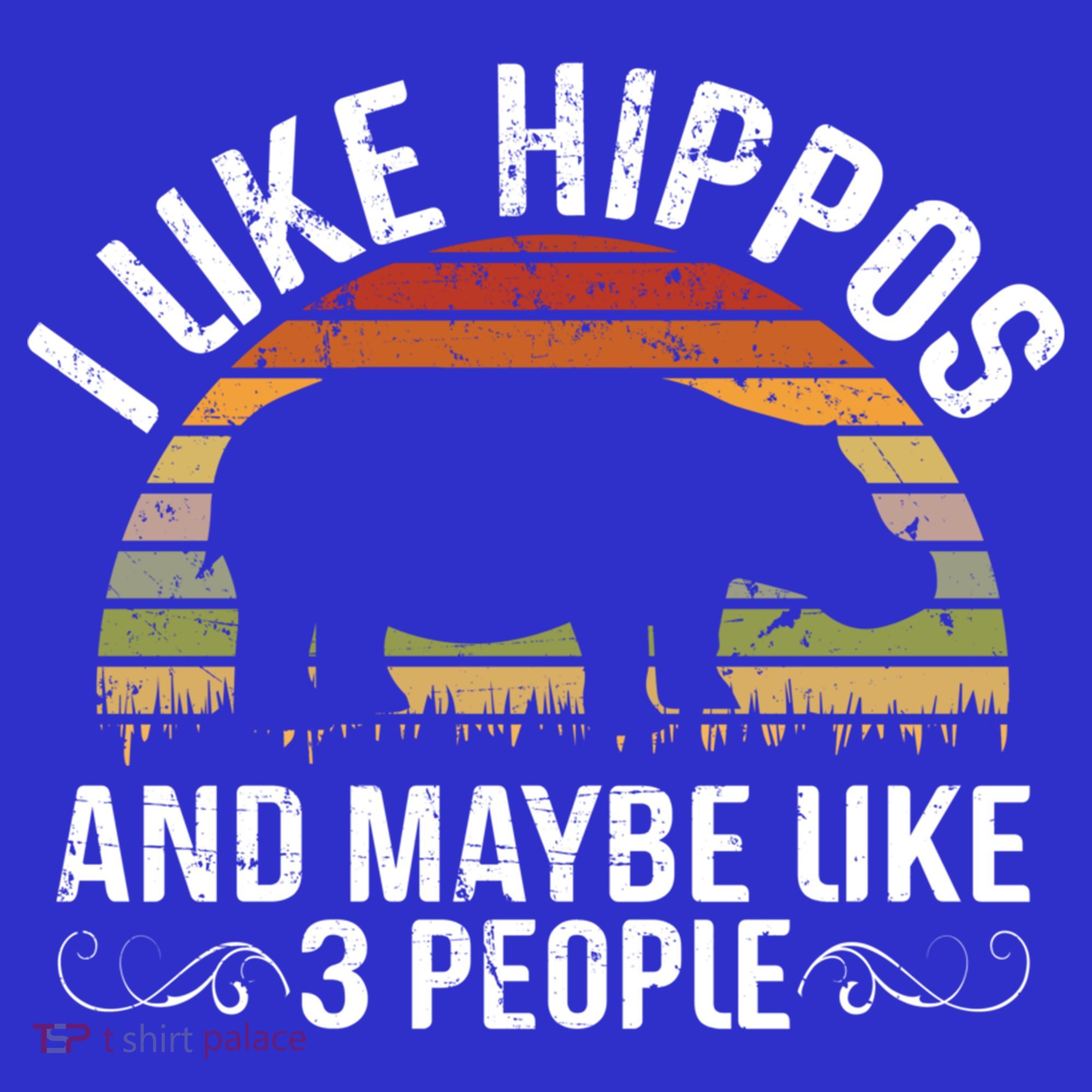 I Like Hippos And Maybe Like 3 People Hippopotamus Hippo Meaningful Gift Long Sleeve Shirt