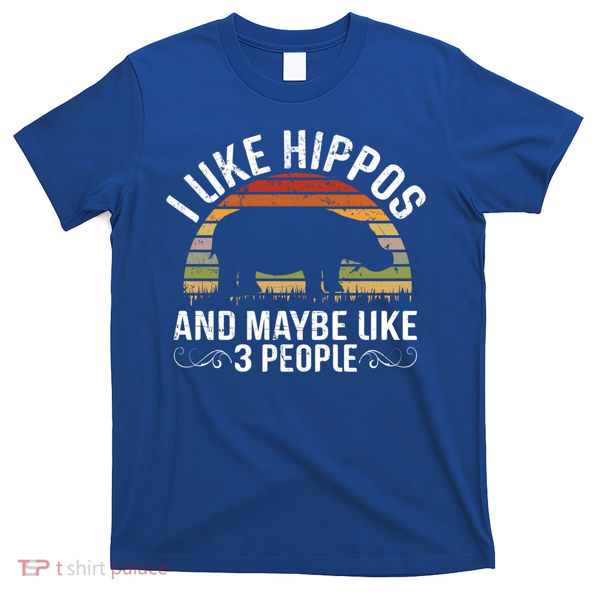 I Like Hippos And Maybe Like 3 People Hippopotamus Hippo Meaningful Gift T-Shirt