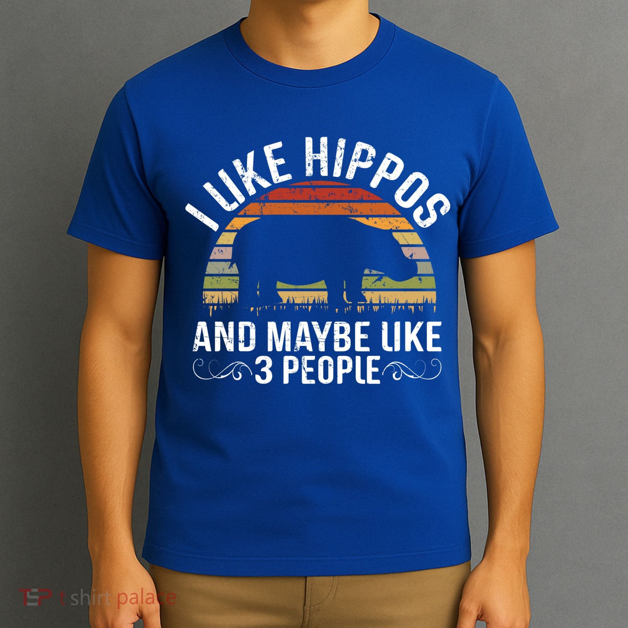 I Like Hippos And Maybe Like 3 People Hippopotamus Hippo Meaningful Gift T-Shirt