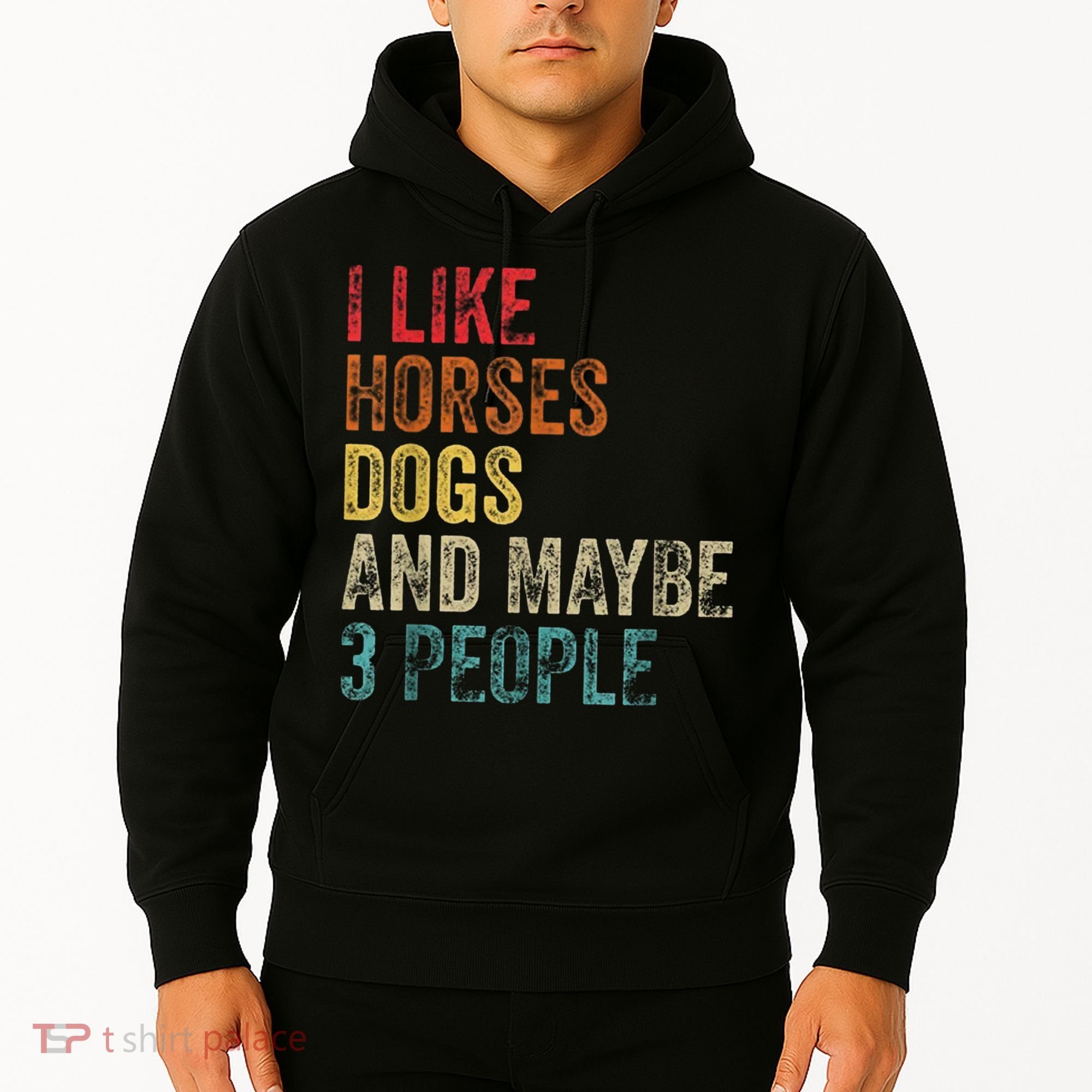 I Like Horses Dogs And Maybe 3 People Hoodie