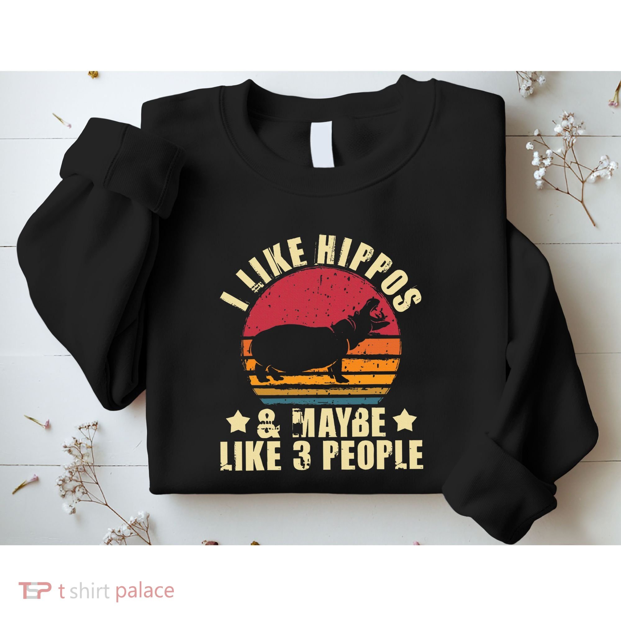 I Like Hippos & Maybe Like 3 People Zookeeper Hippopotamus Sweatshirt