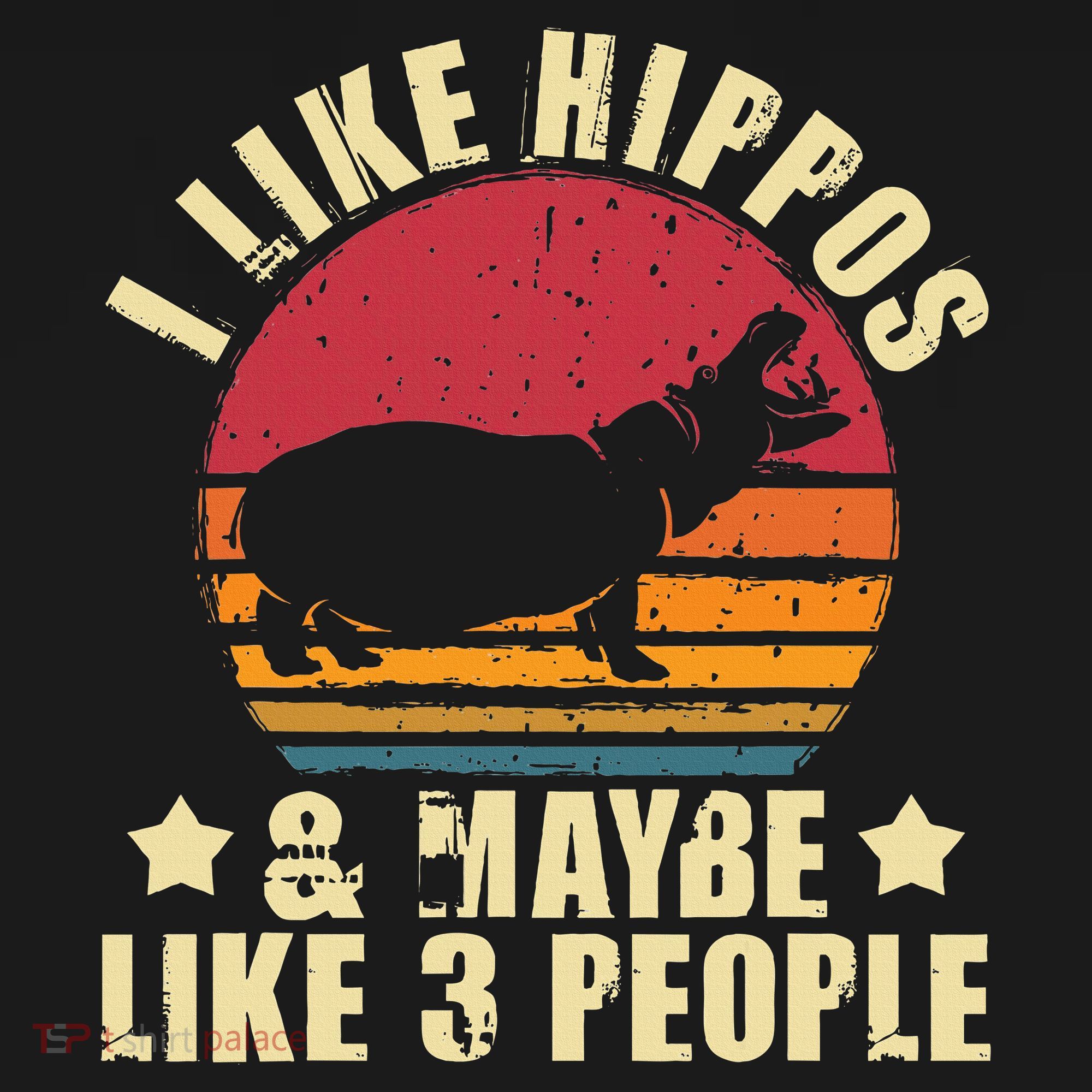 I Like Hippos & Maybe Like 3 People Zookeeper Hippopotamus Women's Hoodie