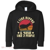 I Like Hippos & Maybe Like 3 People Zookeeper Hippopotamus Toddler Hoodie thumb 0