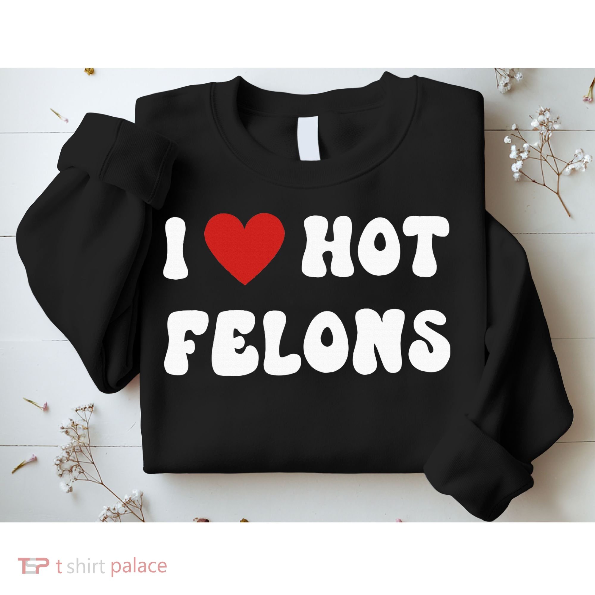 I Love Hot Felons Funny Statement Sweatshirt