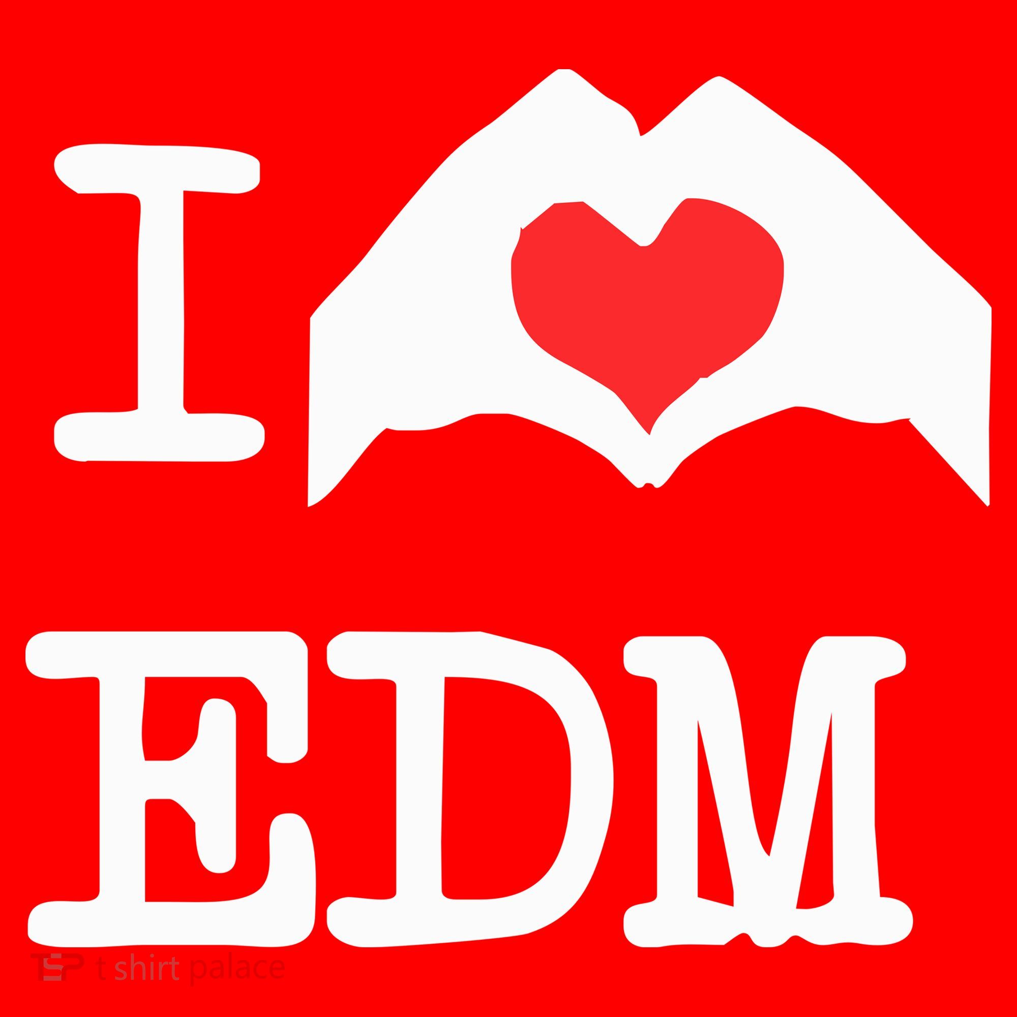 I Love Heart Edm Santa Hat