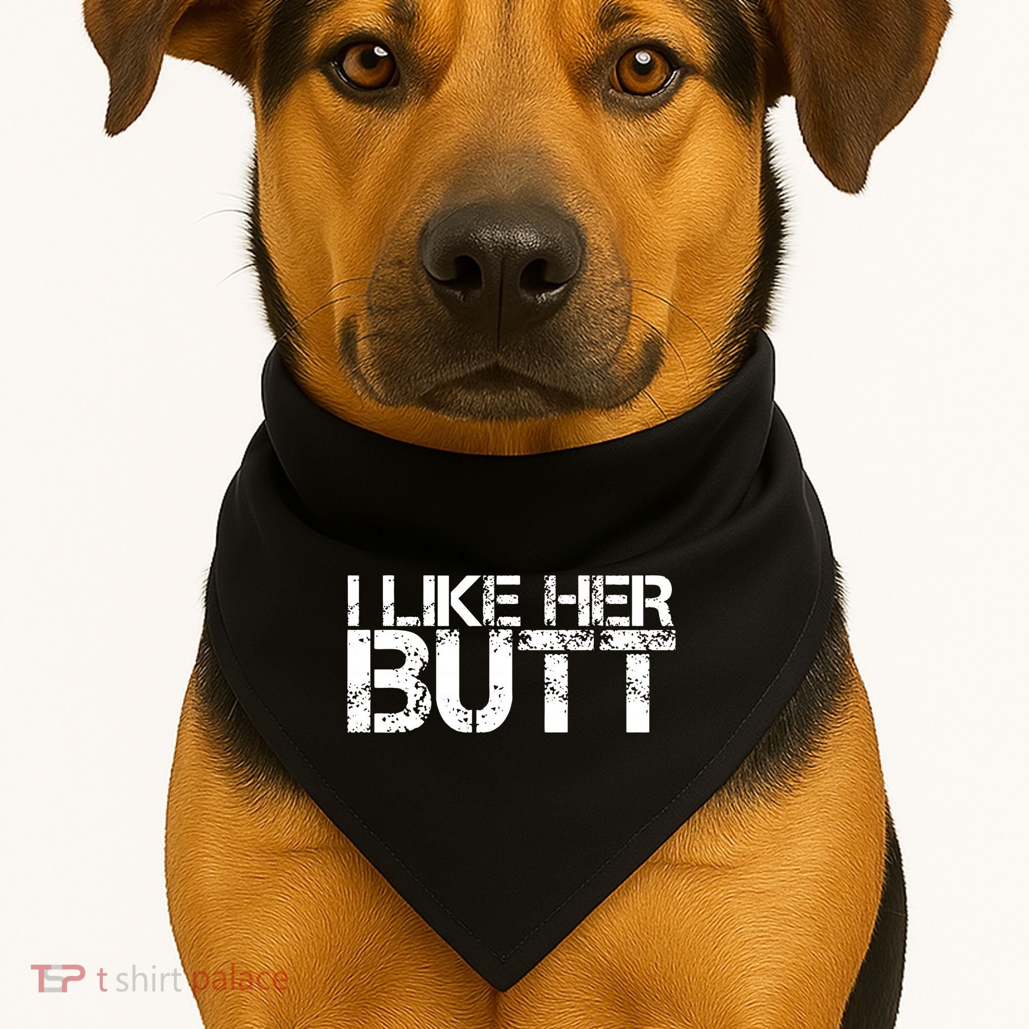 I Like His Beard I Like Her Butt Matching Couple Compliments USA-Made Doggie Bandana