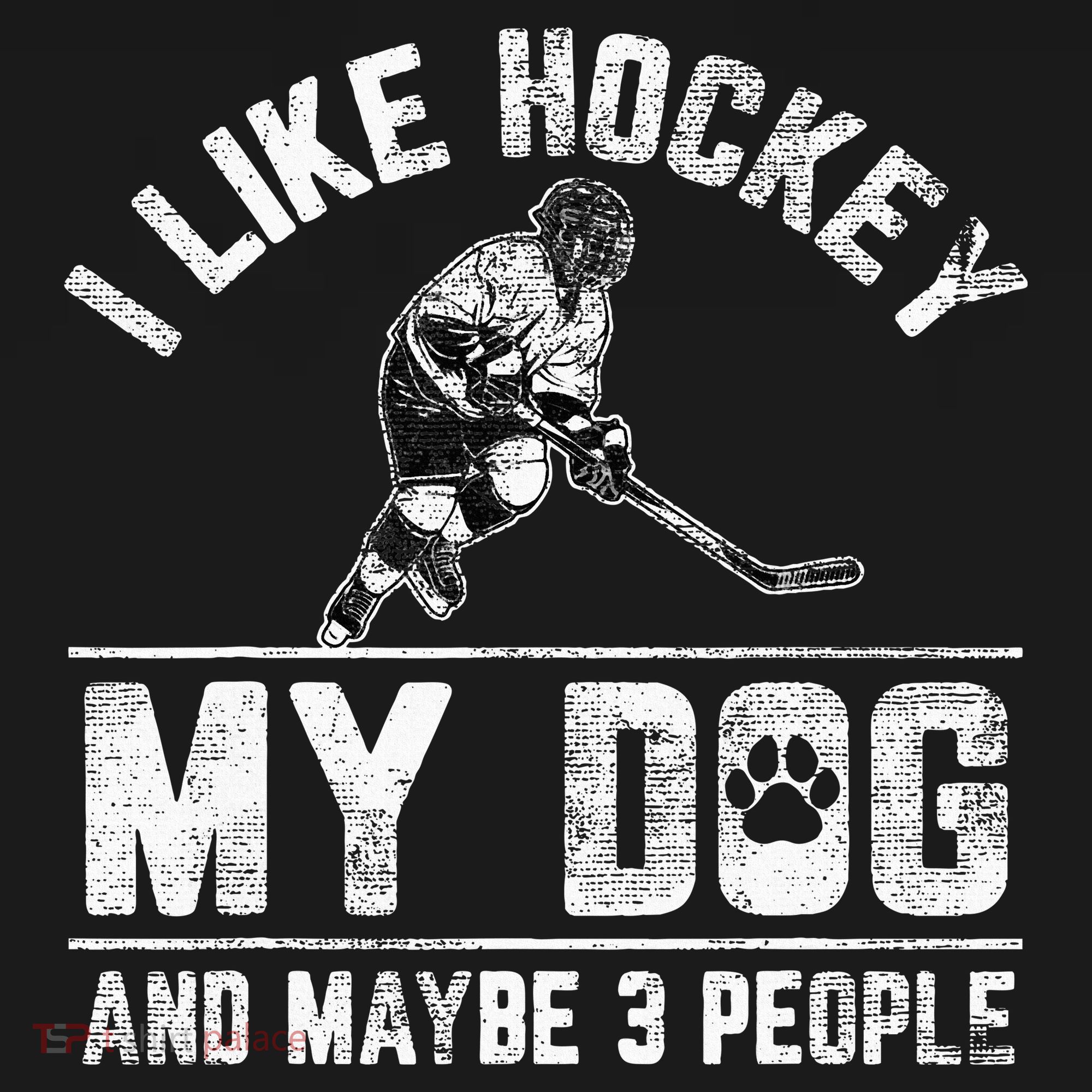I Like Hockey My Dog And Maybe 3 People Funny Saying T-Shirt