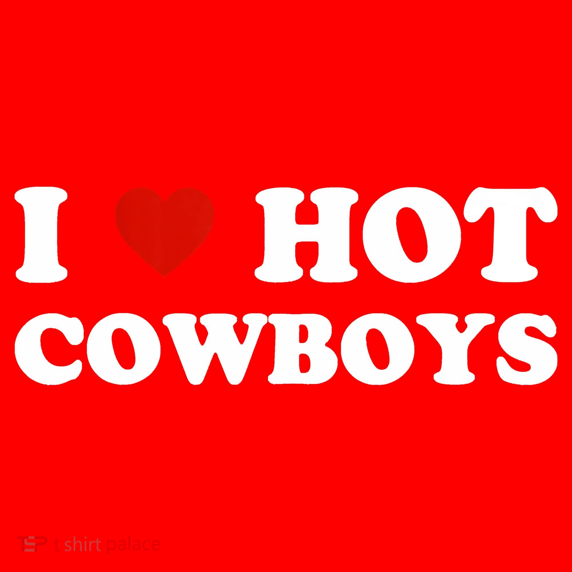 I Love Hot Cowboys Santa Hat