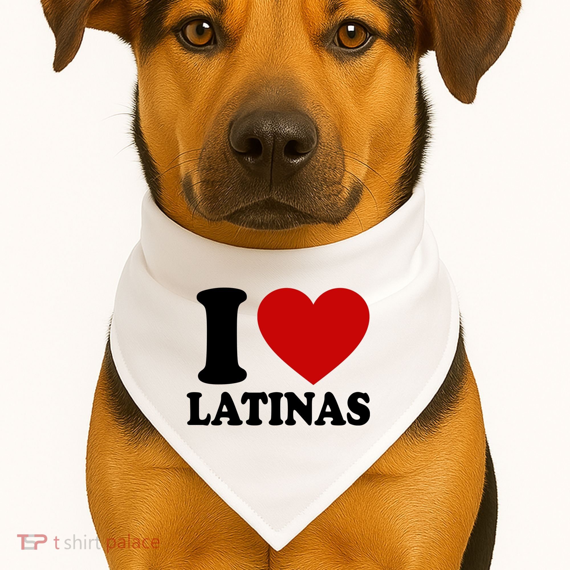 I Love Heart Latinas USA-Made Doggie Bandana